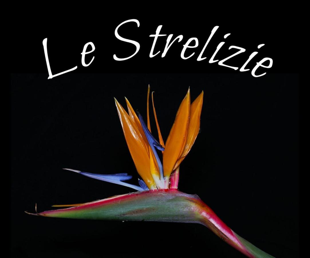 아르메사노 Le Strelizie 아파트 외부 사진
